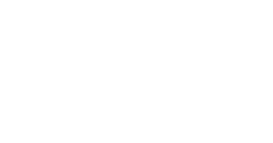 logo MTS réduit_Plan de travail 1 (1) (1)